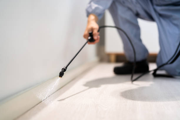 Licensed Bed Bug Control service in Wetumka, OK - Nex Pest Control