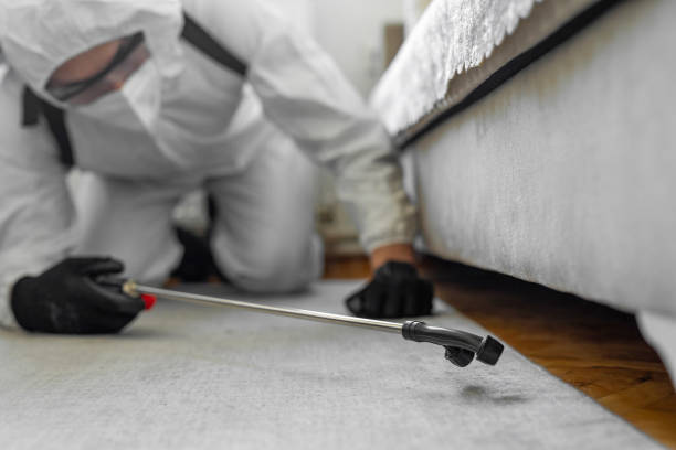 Professional Bed Bug Control technician working in Wetumka, OK