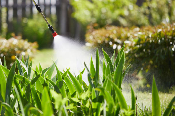 24/7 Emergency Bed Bug Control experts in Wetumka, OK