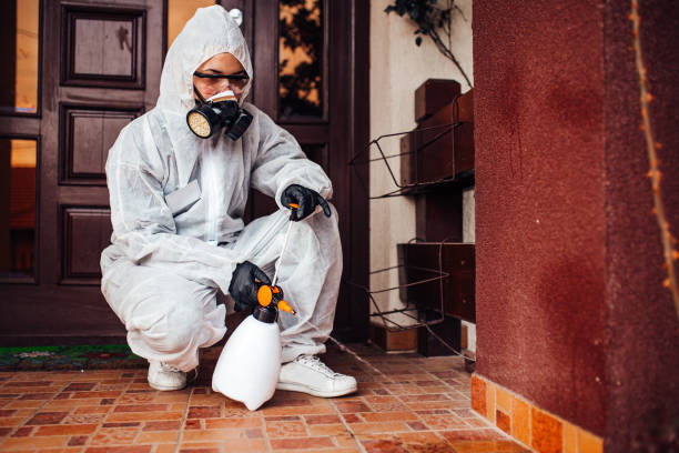 Reliable Bed Bug Control contractor in Wetumka, OK by Nex Pest Control