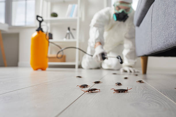 Trusted Mosquito Control service in Wetumka, OK - Nex Pest Control