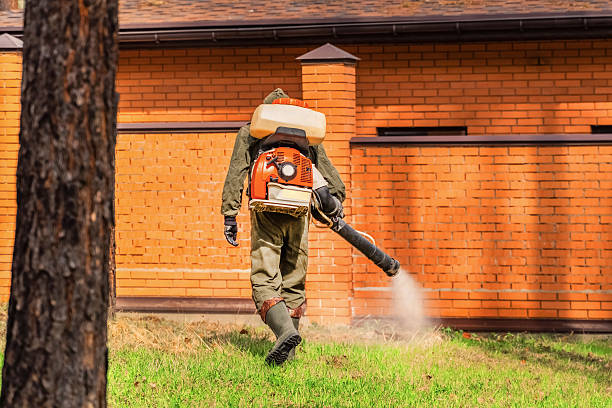 Trusted Termite Control service in Wetumka, OK - Nex Pest Control
